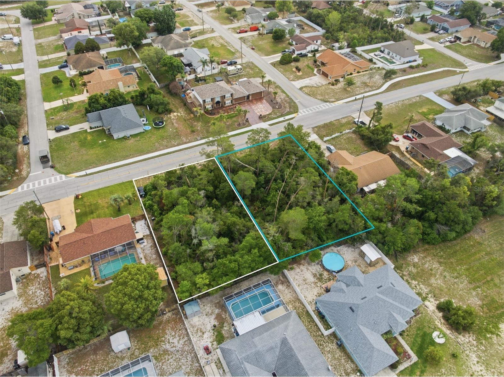 6019 Freeport Drive Spring Hill FL 34606 TB8511920 image5