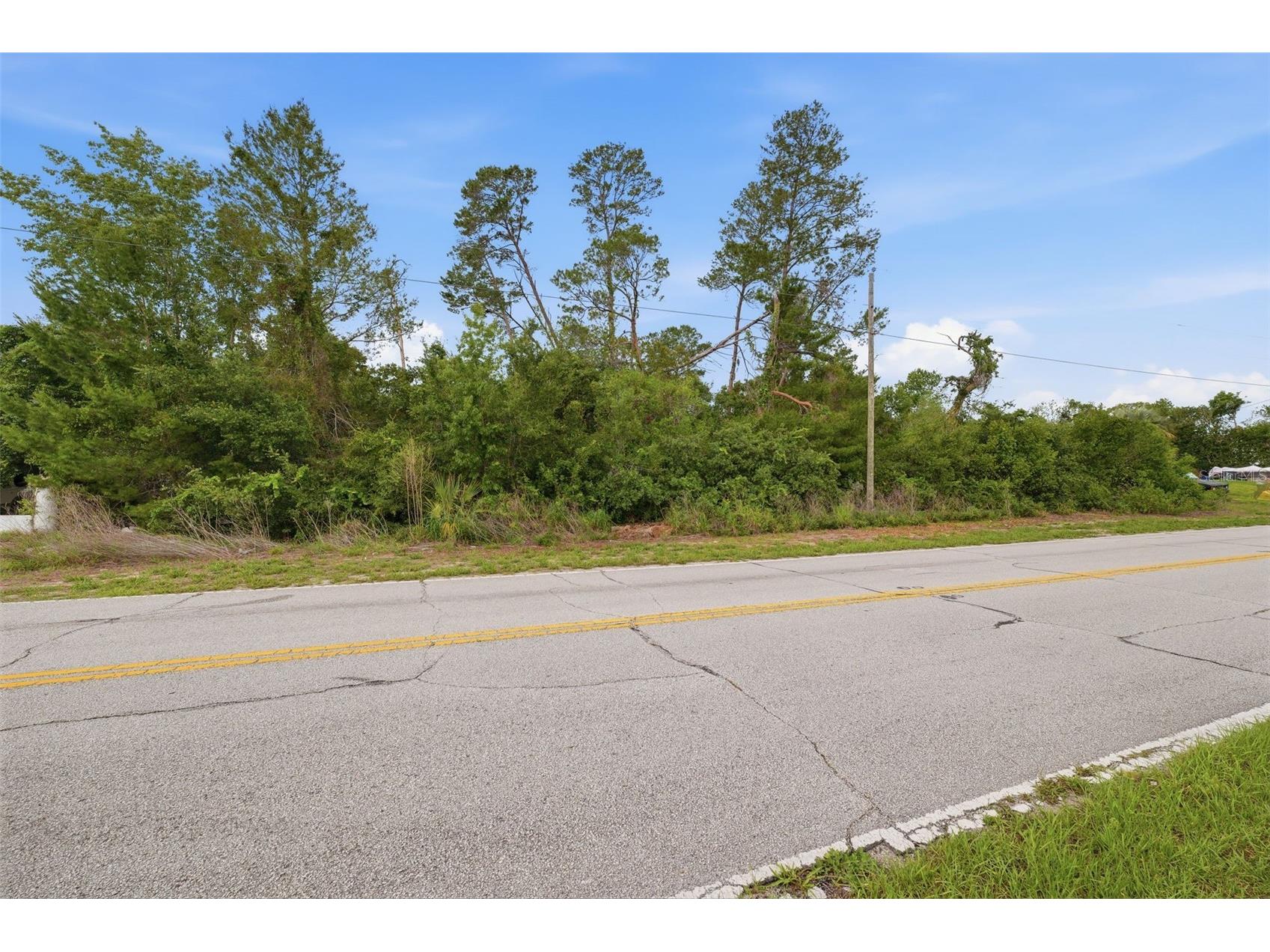 6019 Freeport Drive Spring Hill FL 34606 TB8511920 image9