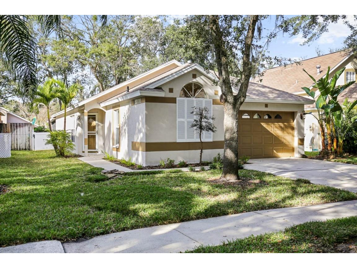 6019 Kiteridge Drive Lithia FL 33547 J969725 image1