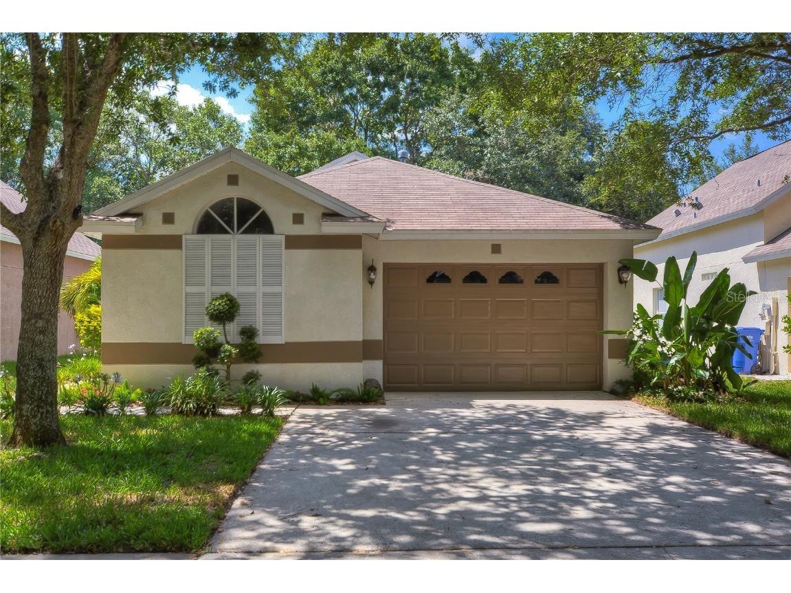 6019 Kiteridge Drive Lithia FL 33547 T3438935 image1