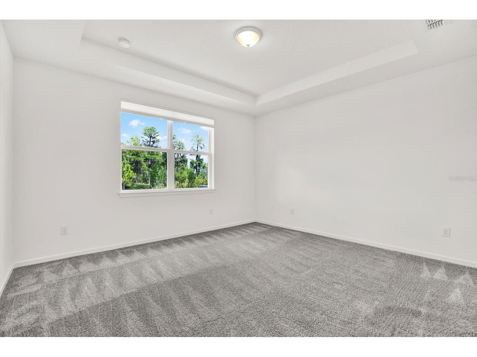 6019 Shorebird Branch Land O Lakes FL 34638 TB8396856 image11