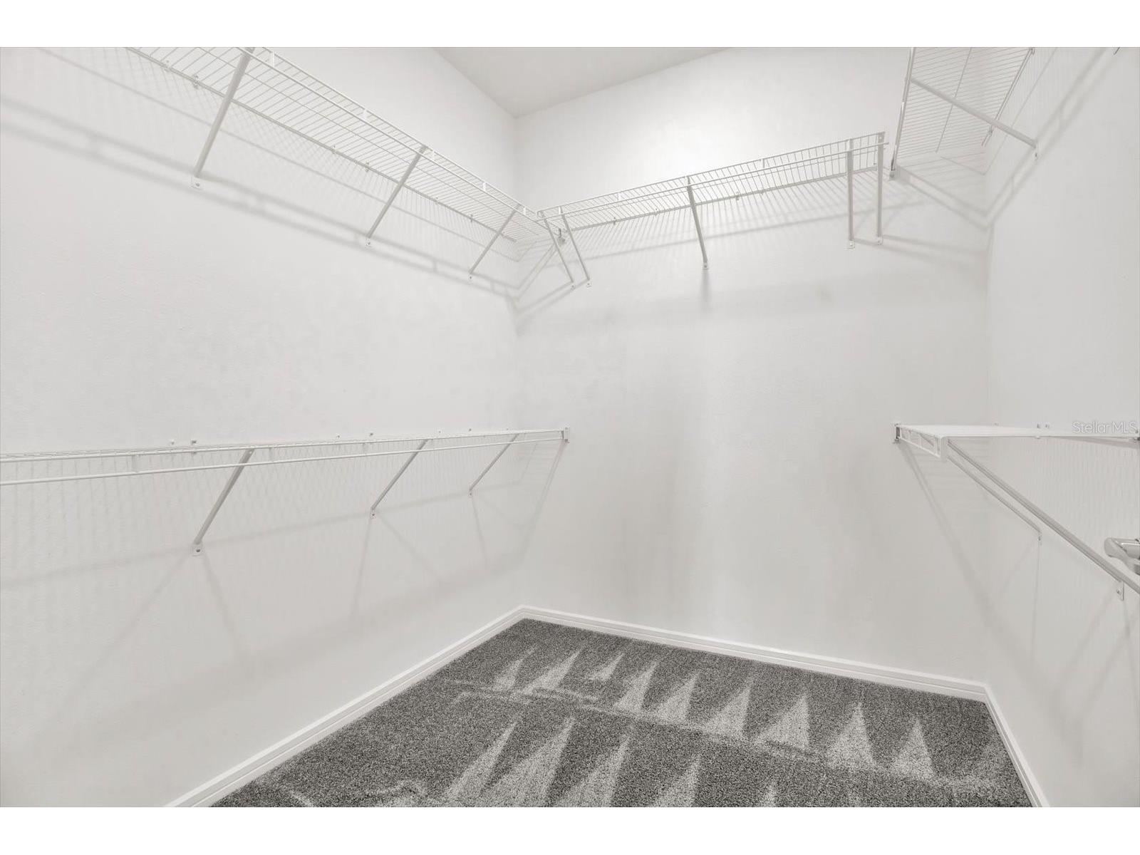 6019 Shorebird Branch Land O Lakes FL 34638 TB8396856 image16