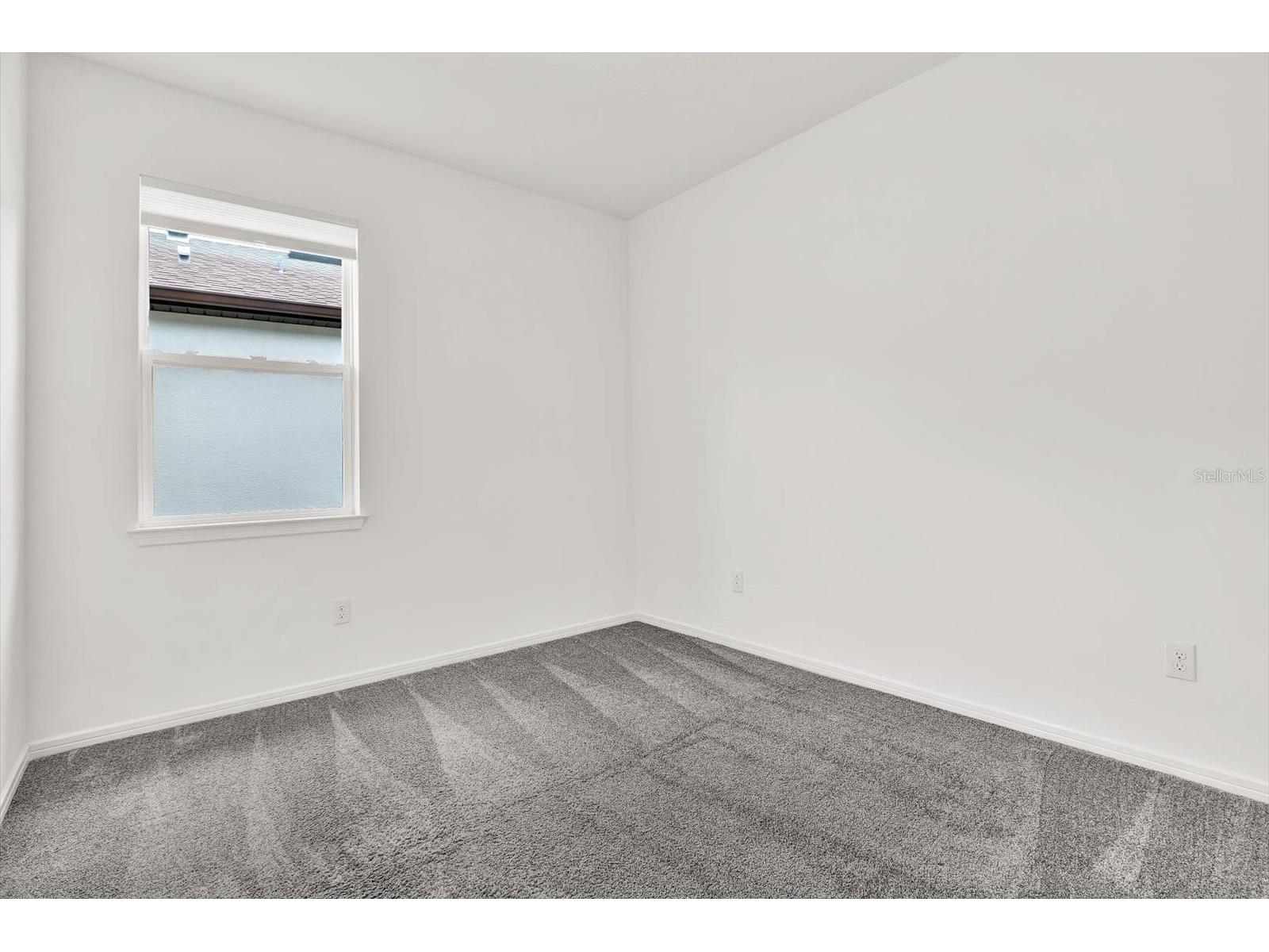 6019 Shorebird Branch Land O Lakes FL 34638 TB8396856 image17