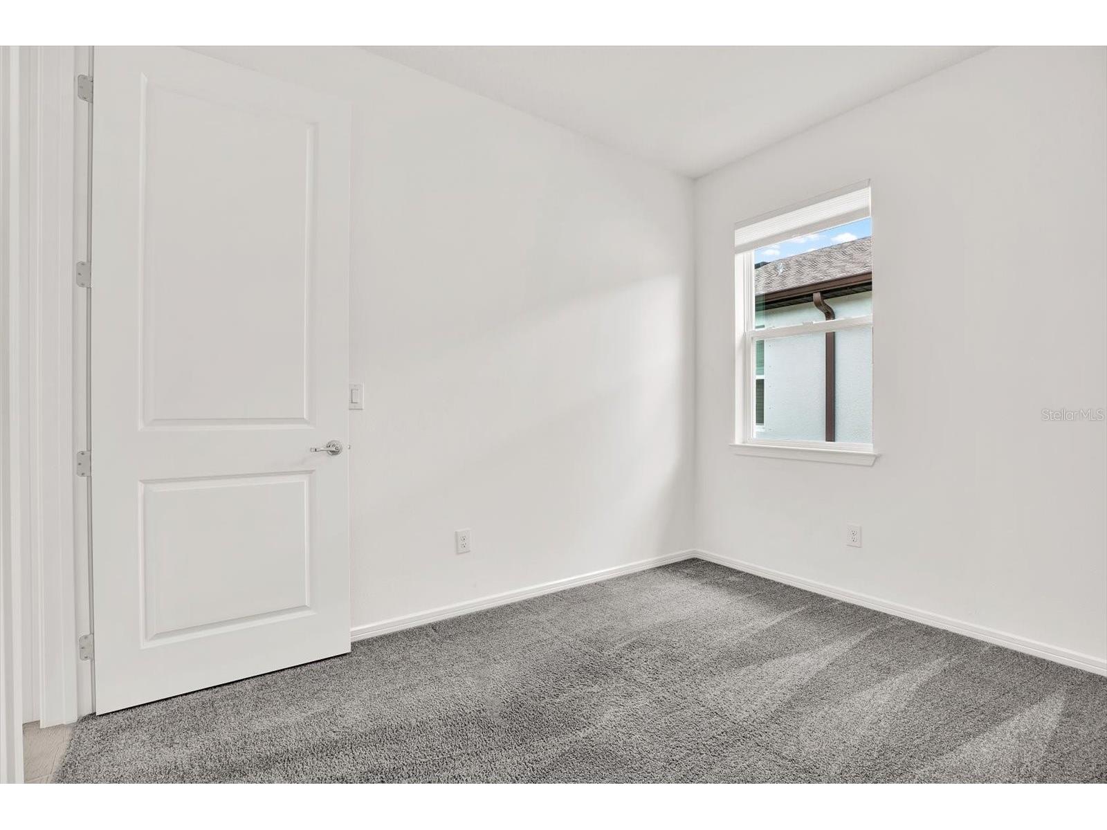 6019 Shorebird Branch Land O Lakes FL 34638 TB8396856 image18