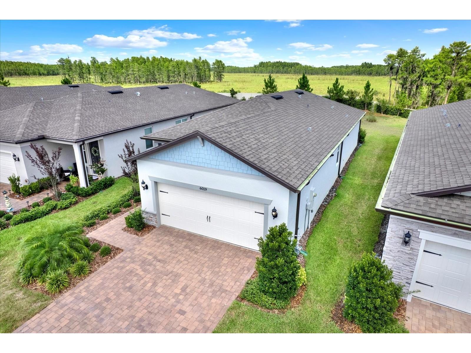 6019 Shorebird Branch Land O Lakes FL 34638 TB8396856 image29