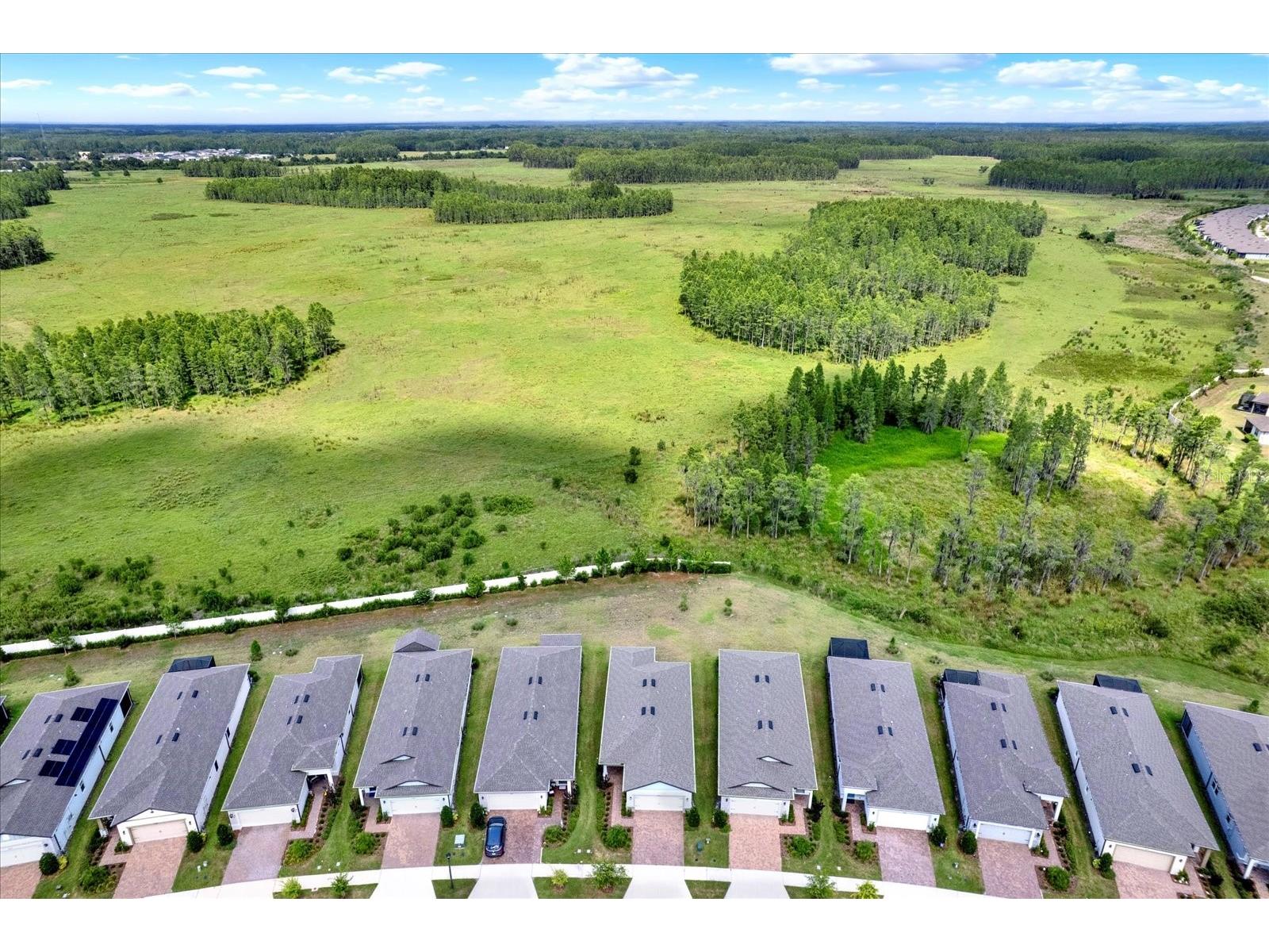 6019 Shorebird Branch Land O Lakes FL 34638 TB8396856 image30