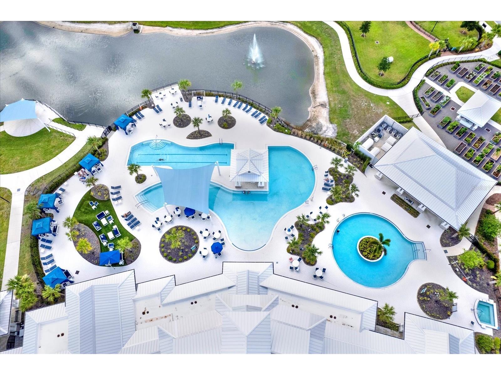 6019 Shorebird Branch Land O Lakes FL 34638 TB8396856 image35