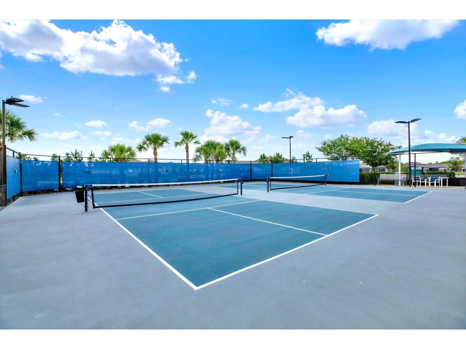 6019 Shorebird Branch Land O Lakes FL 34638 TB8396856 image40