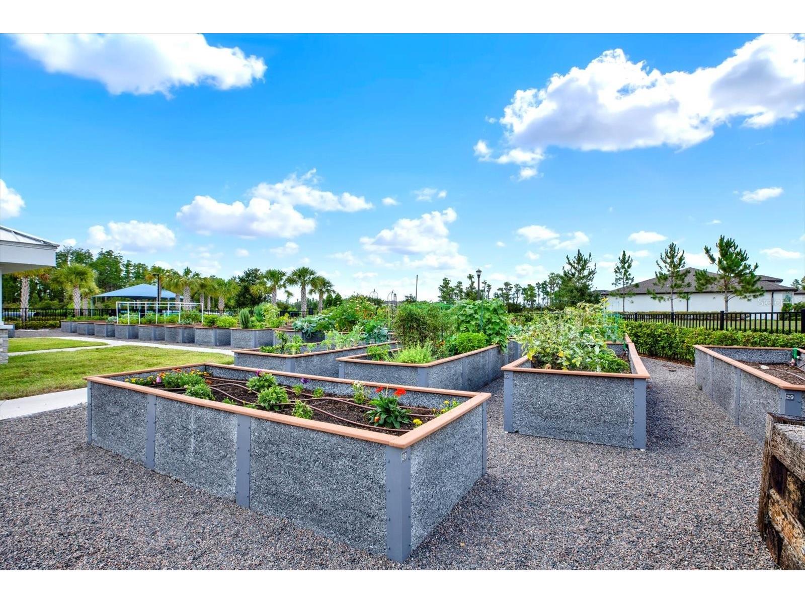 6019 Shorebird Branch Land O Lakes FL 34638 TB8396856 image41