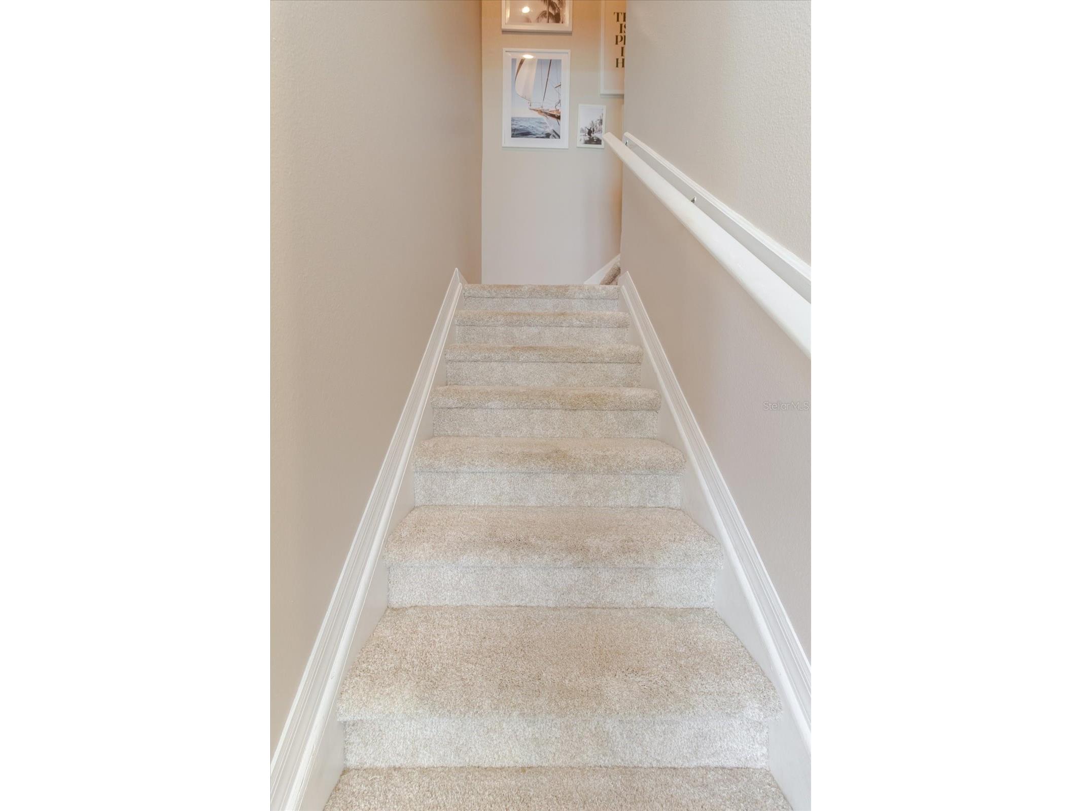 602 51st Avenue N Saint Petersburg FL 33703 TB8505574 image25