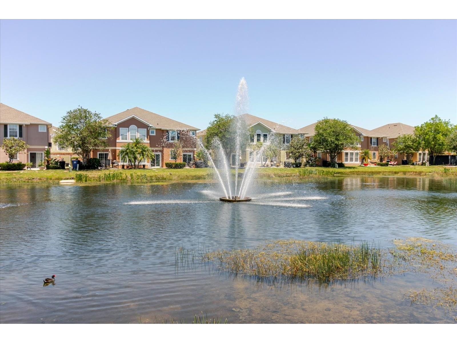 602 51st Avenue N Saint Petersburg FL 33703 TB8505574 image65