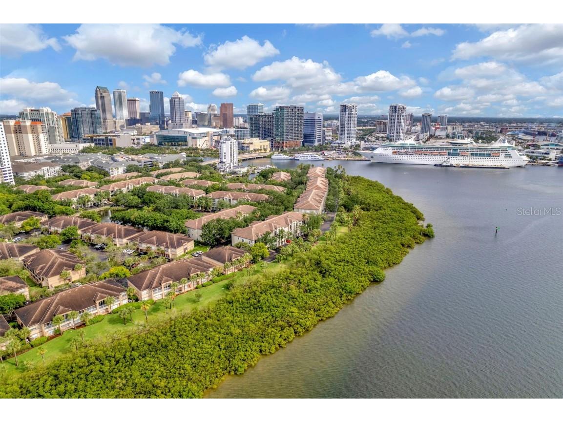 602 Arbor Lake Lane Tampa FL 33602 T3548348 image1