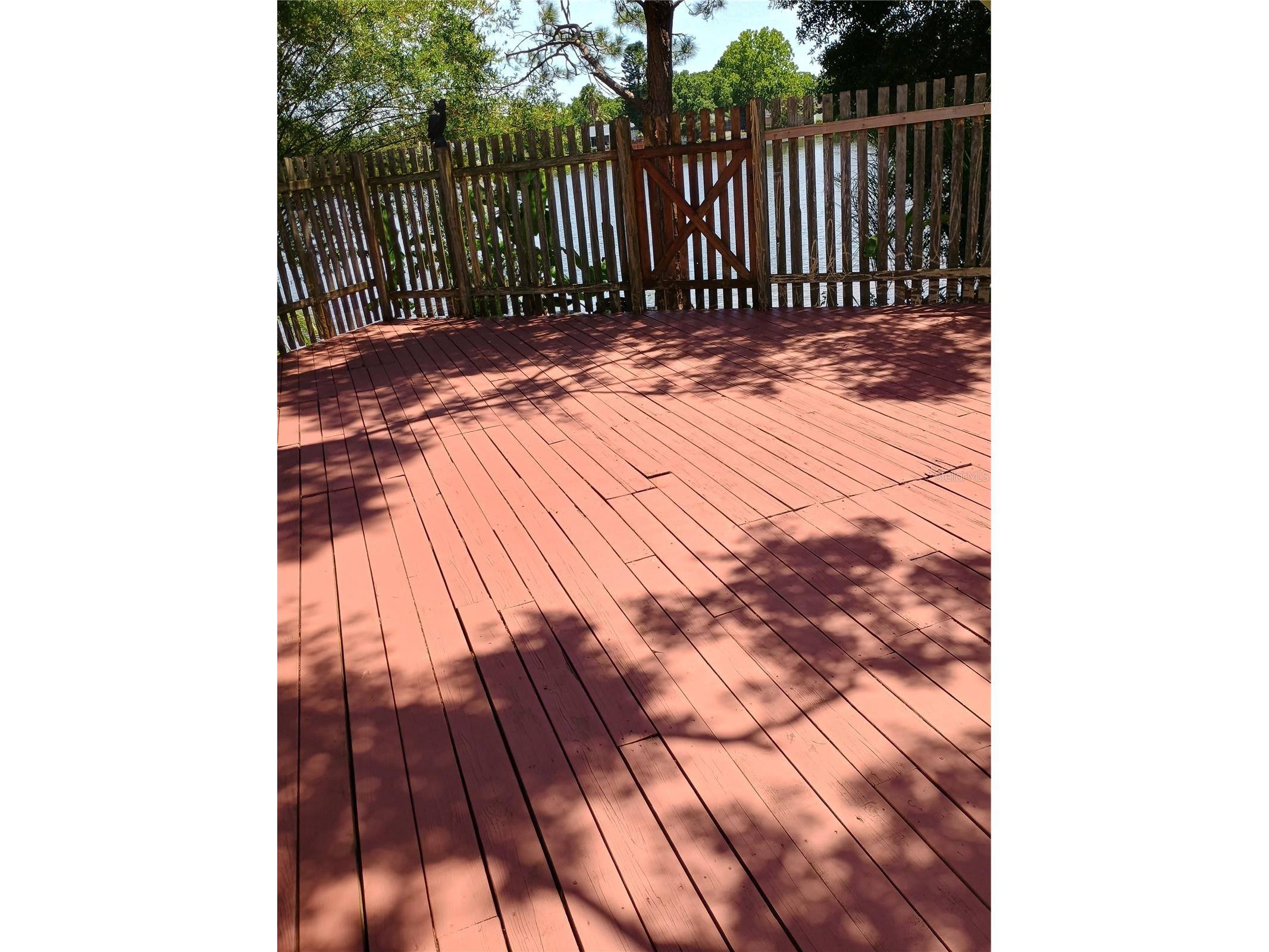 602 Bay Lake Trail Oldsmar FL 34677 TB8503595 image5
