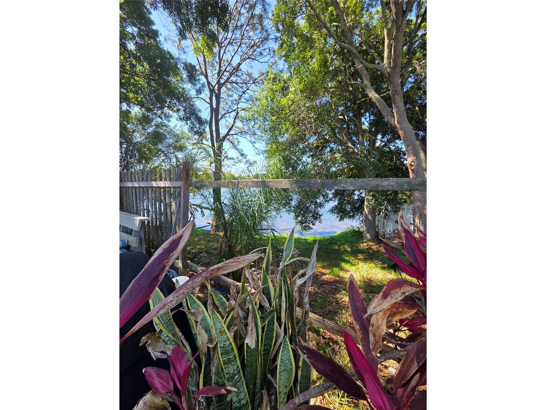 602 Bay Lake Trail Oldsmar FL 34677 TB8503595 image6
