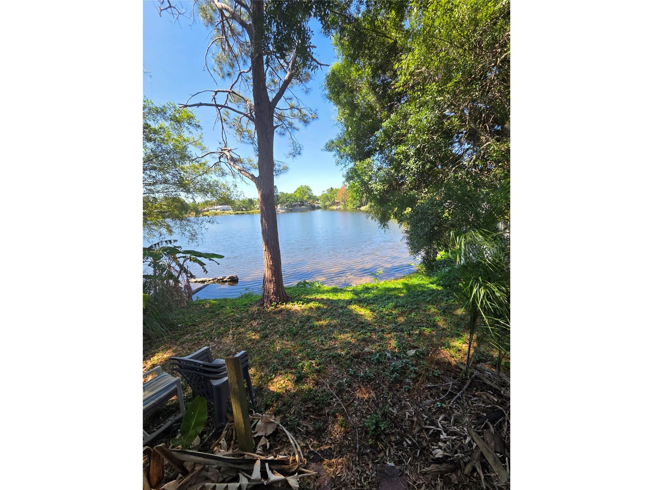 602 Bay Lake Trail Oldsmar FL 34677 TB8503595 image7