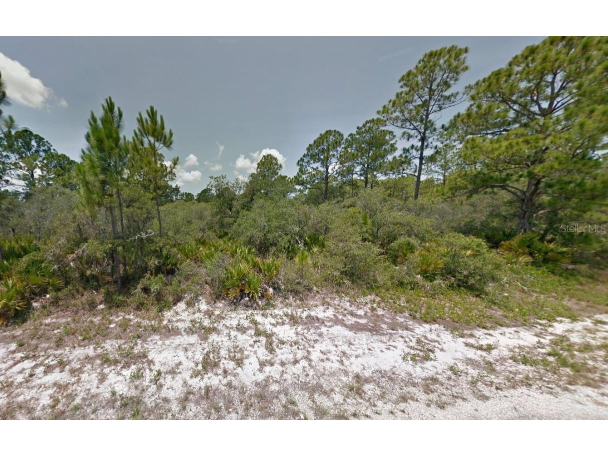 602 Buckley Road Lake Placid FL 33852 U8242008 image1