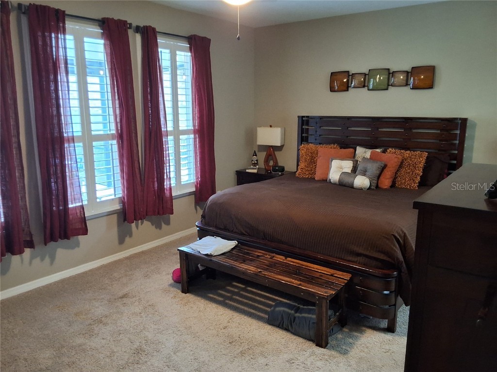 602 Conservation Boulevard Groveland FL 34736 G5104630 image19