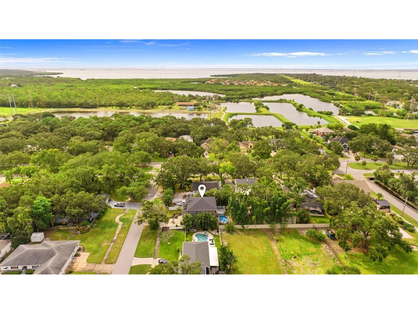 602 Dartmouth Avenue E Oldsmar FL 34677 TB8431354 image39