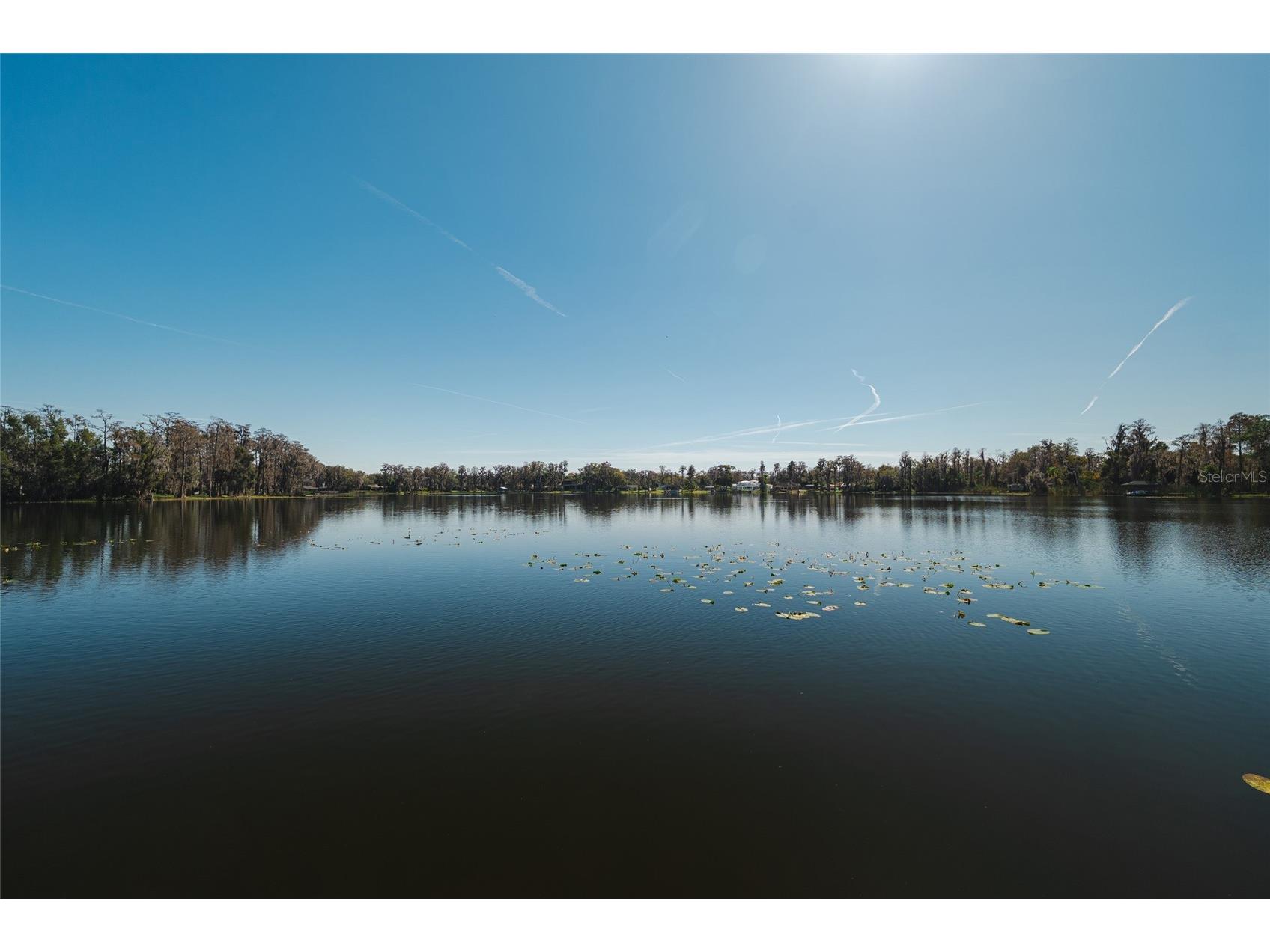 602 Druid Way Lutz FL 33548 - Strawberry Lake TB8466613 image61