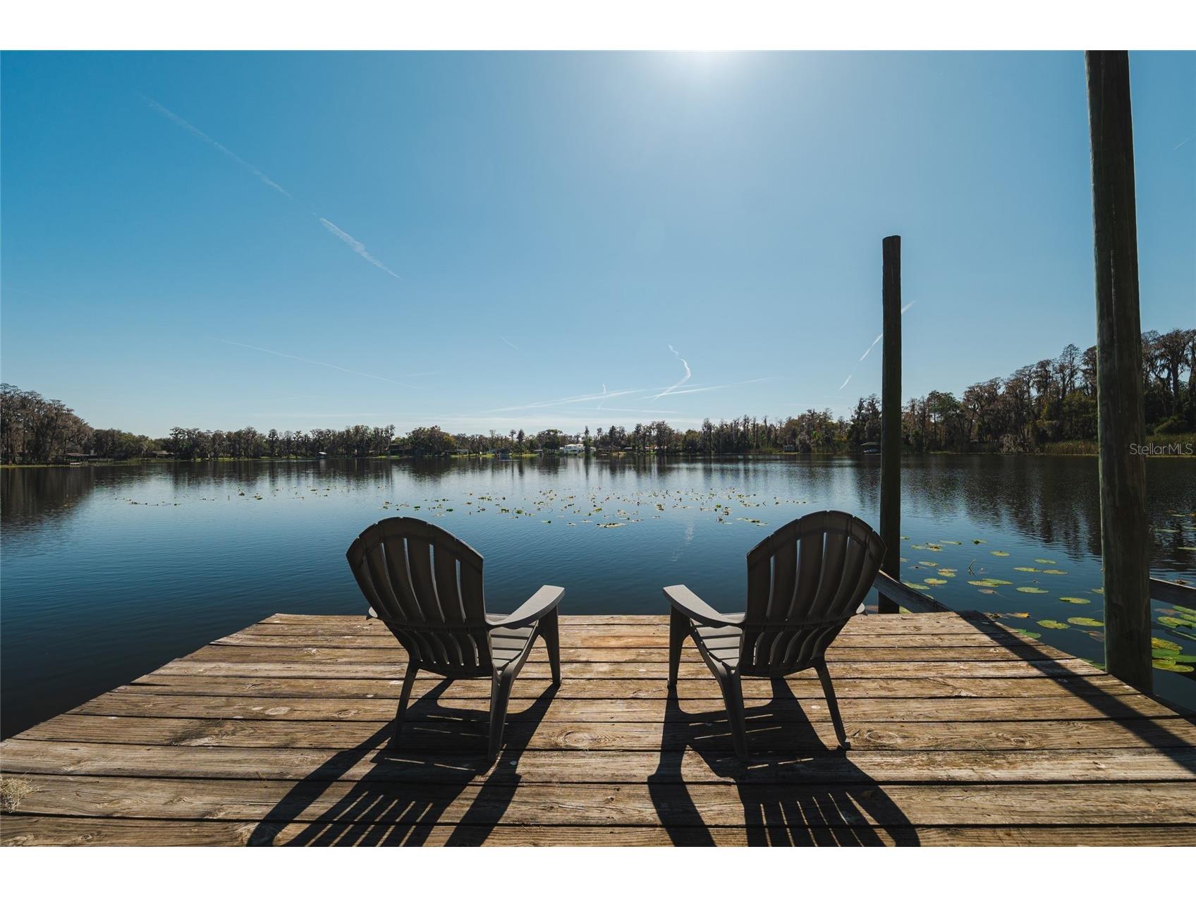 602 Druid Way Lutz FL 33548 - Strawberry Lake TB8466613 image62