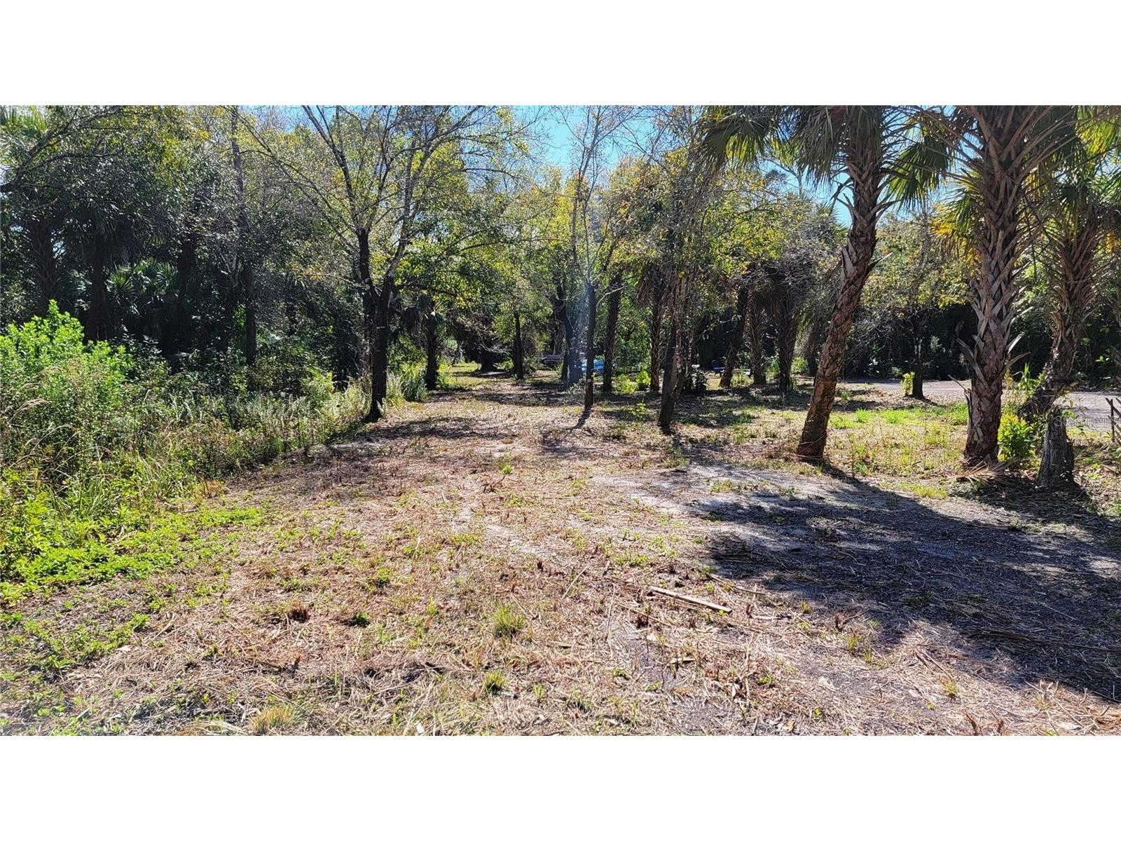 602 Drury Lane Punta Gorda FL 33950 N6143775 image13