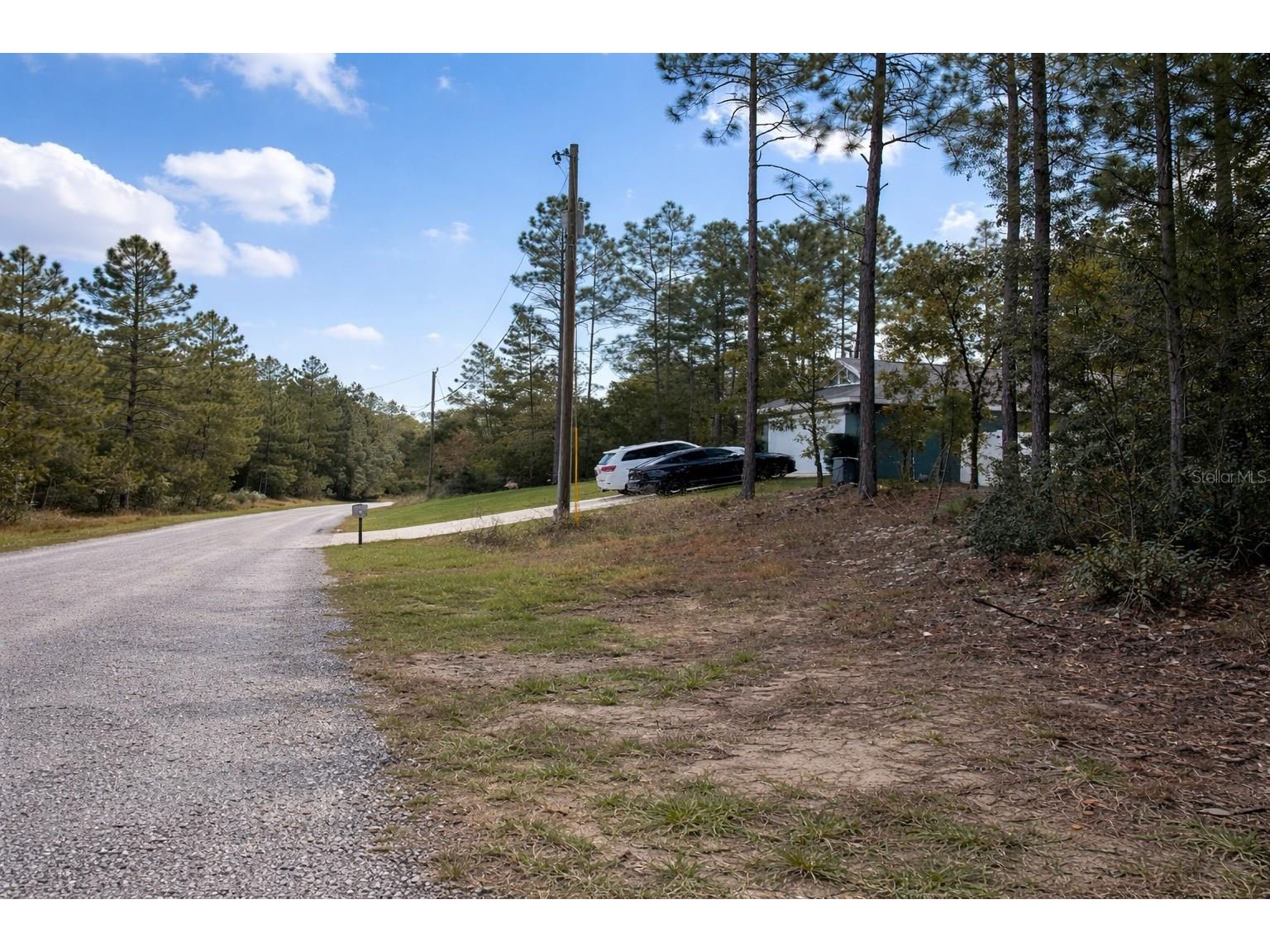 602 E Nemo Drive Dunnellon FL 34434 O6385795 image2