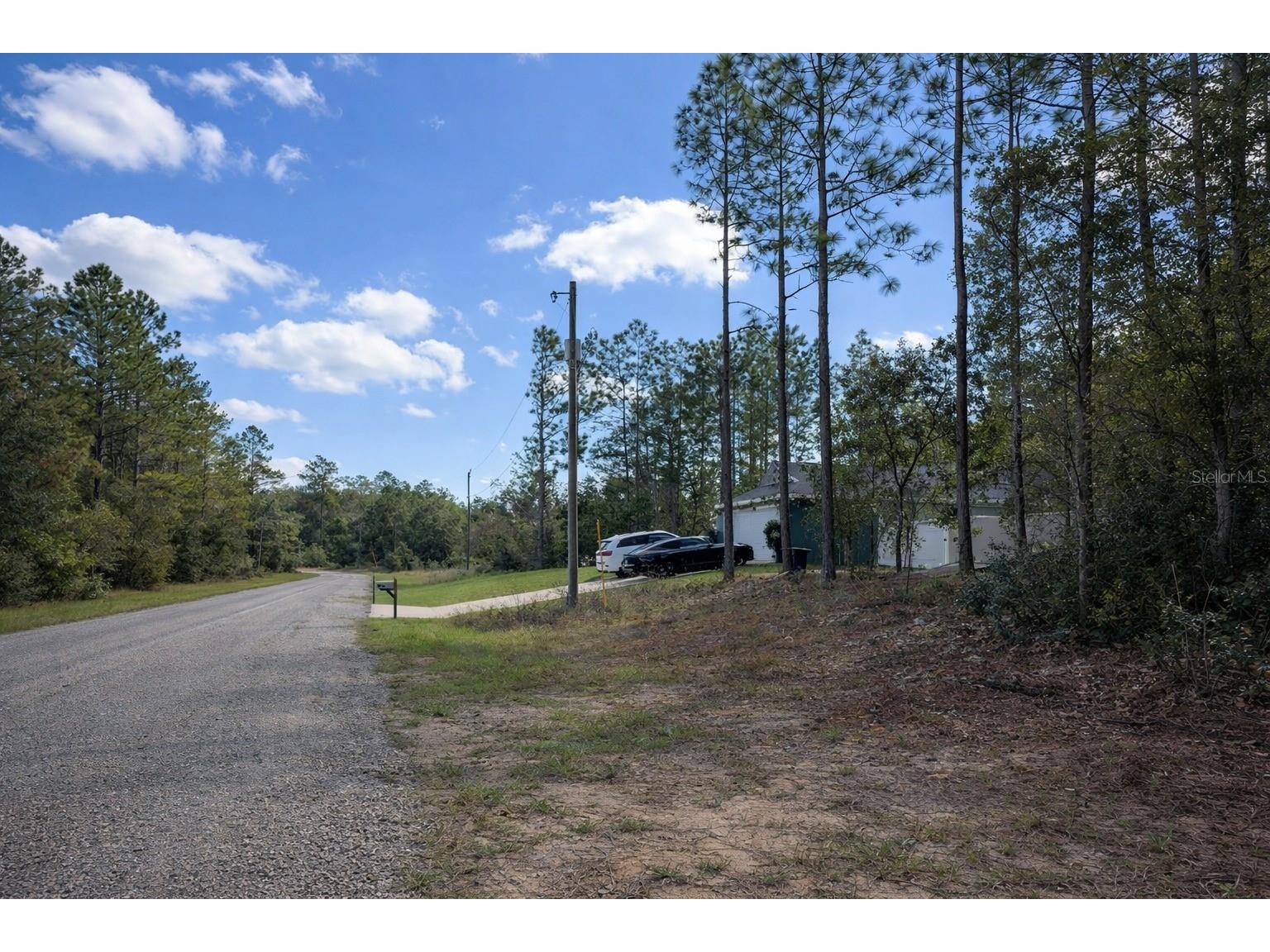 602 E Nemo Drive Dunnellon FL 34434 O6385795 image3