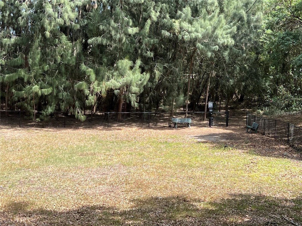 602 Fieldcrest Drive Brandon FL 33511 TB8450100 image23