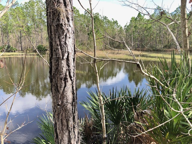 602 Hidden Palms Drive Davenport FL 33897 O6074166 image1