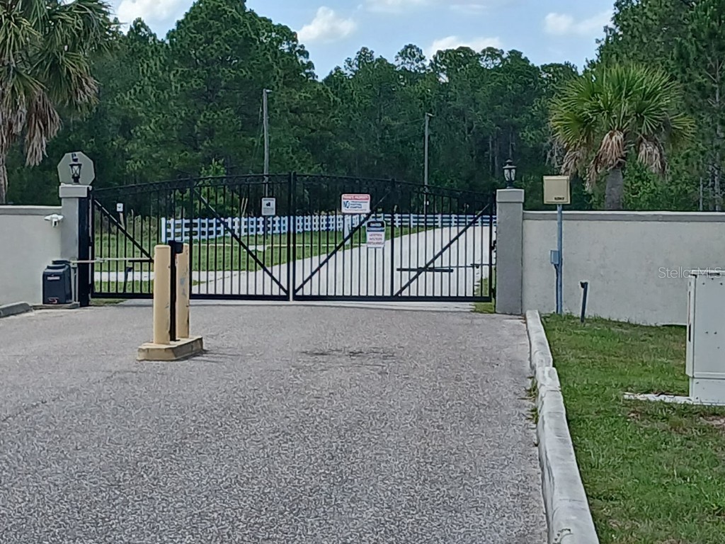 602 Hidden Palms Drive Davenport FL 33897 TB8326412 image1