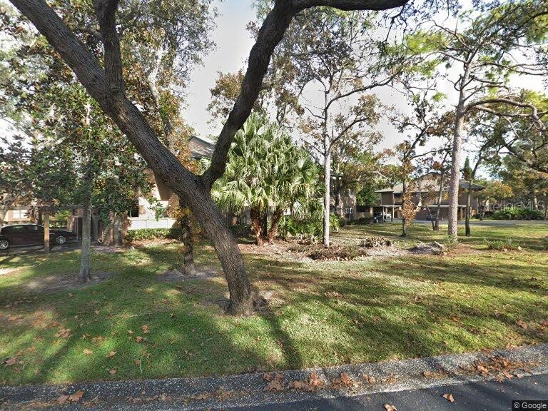 602 Lennox Road W Palm Harbor FL 34683 J972179 image1