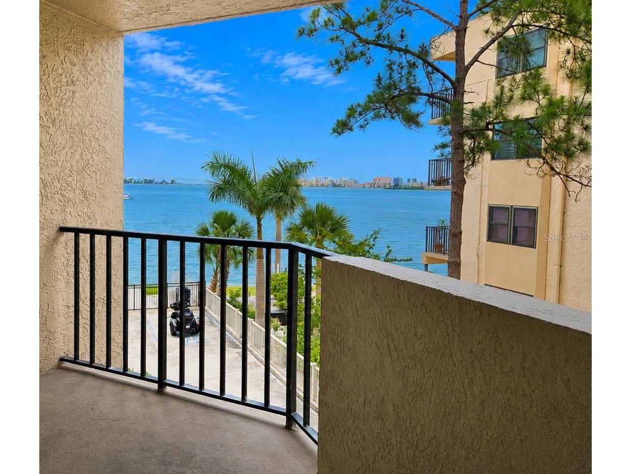 602 Lime Avenue #203 Clearwater FL 33756 TB8478498 image1