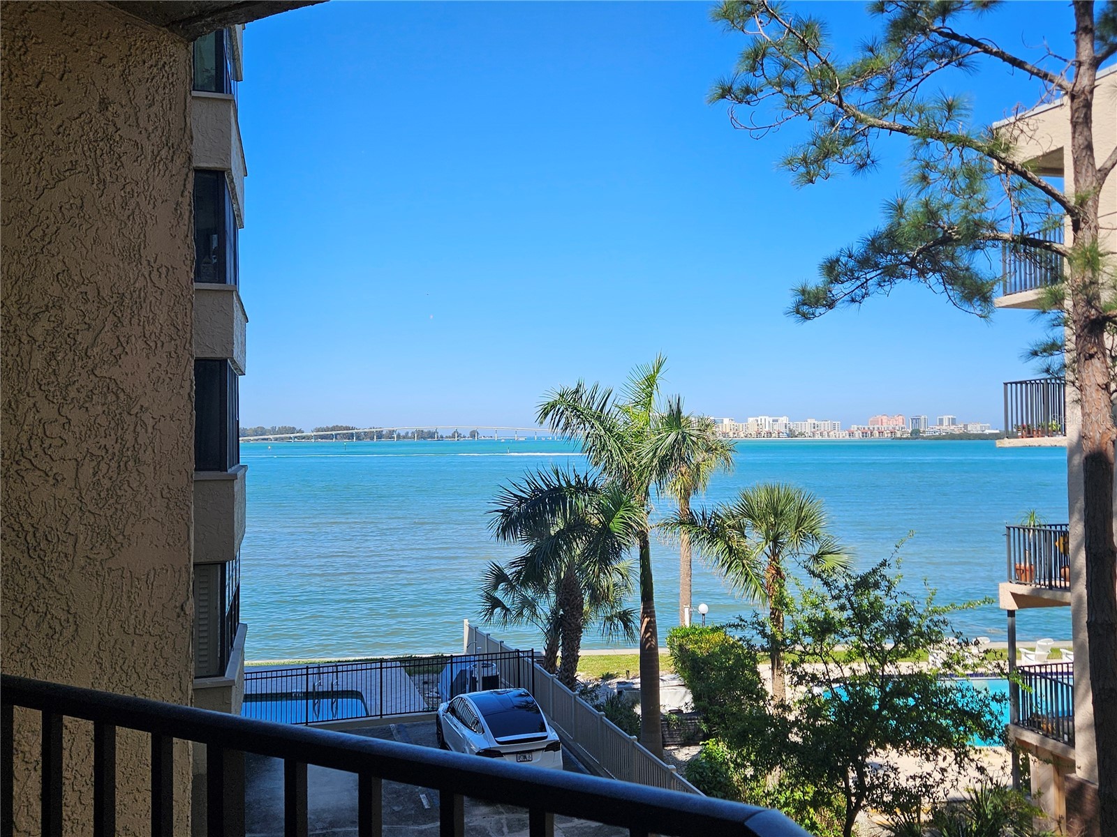 602 Lime Avenue #203 Clearwater FL 33756 TB8478498 image14
