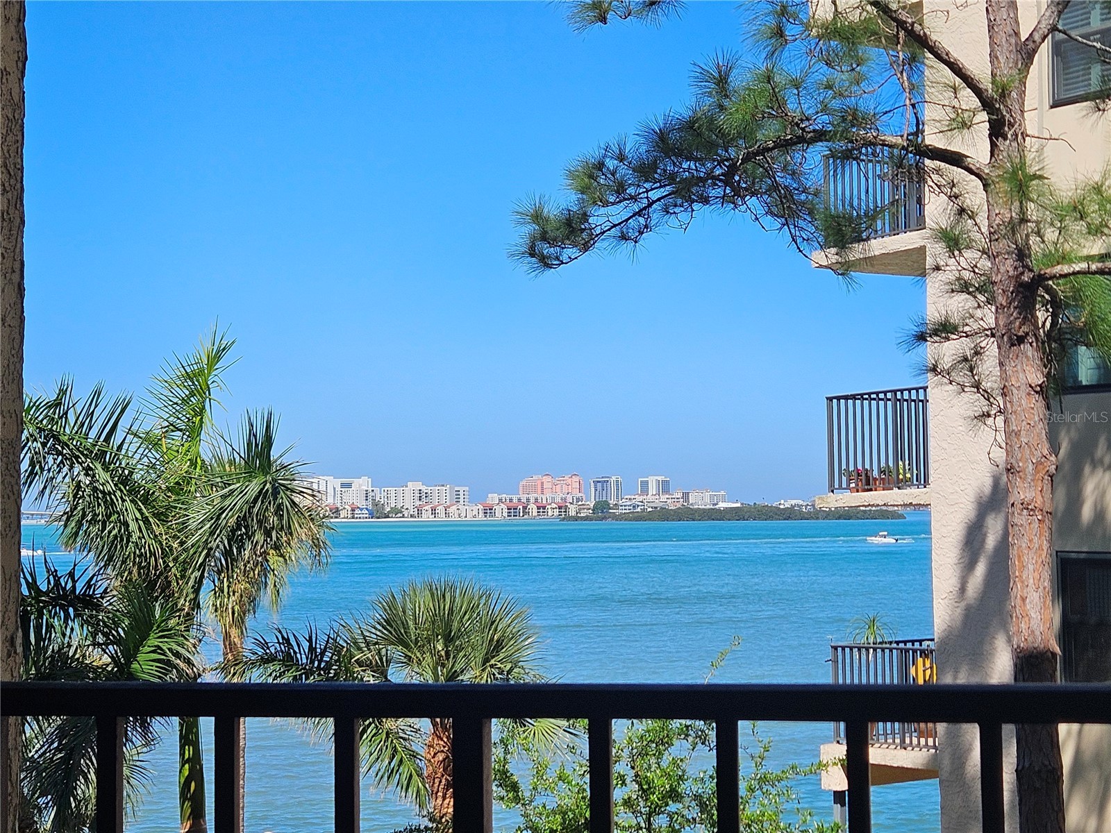 602 Lime Avenue #203 Clearwater FL 33756 TB8478498 image15