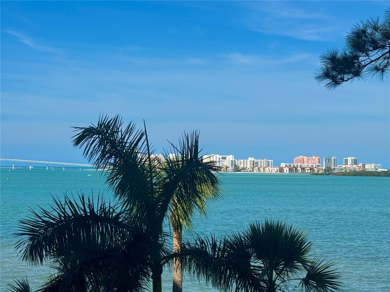 602 Lime Avenue #203 Clearwater FL 33756 TB8478498 image16