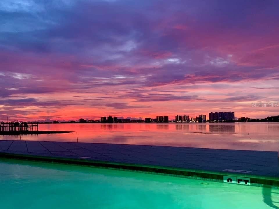 602 Lime Avenue #203 Clearwater FL 33756 TB8478498 image33