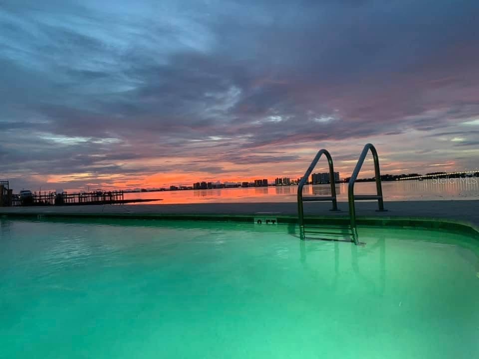 602 Lime Avenue #203 Clearwater FL 33756 TB8478498 image34