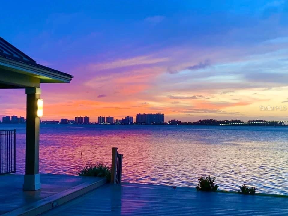 602 Lime Avenue #203 Clearwater FL 33756 TB8478498 image35
