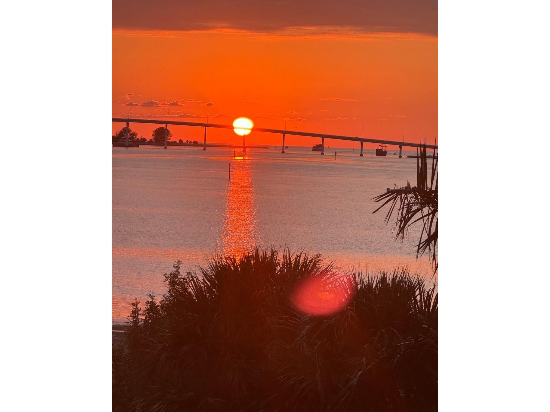 602 Lime Avenue #203 Clearwater FL 33756 TB8478498 image38