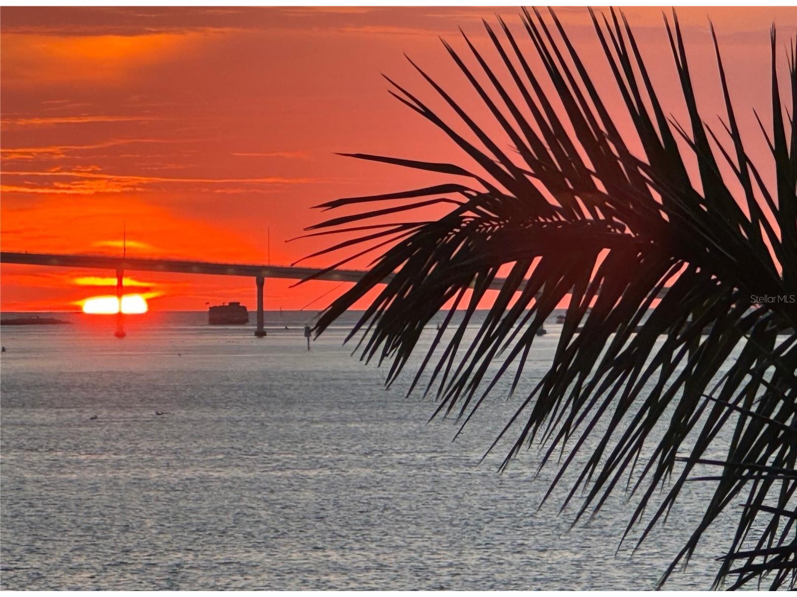 602 Lime Avenue #203 Clearwater FL 33756 TB8478498 image39