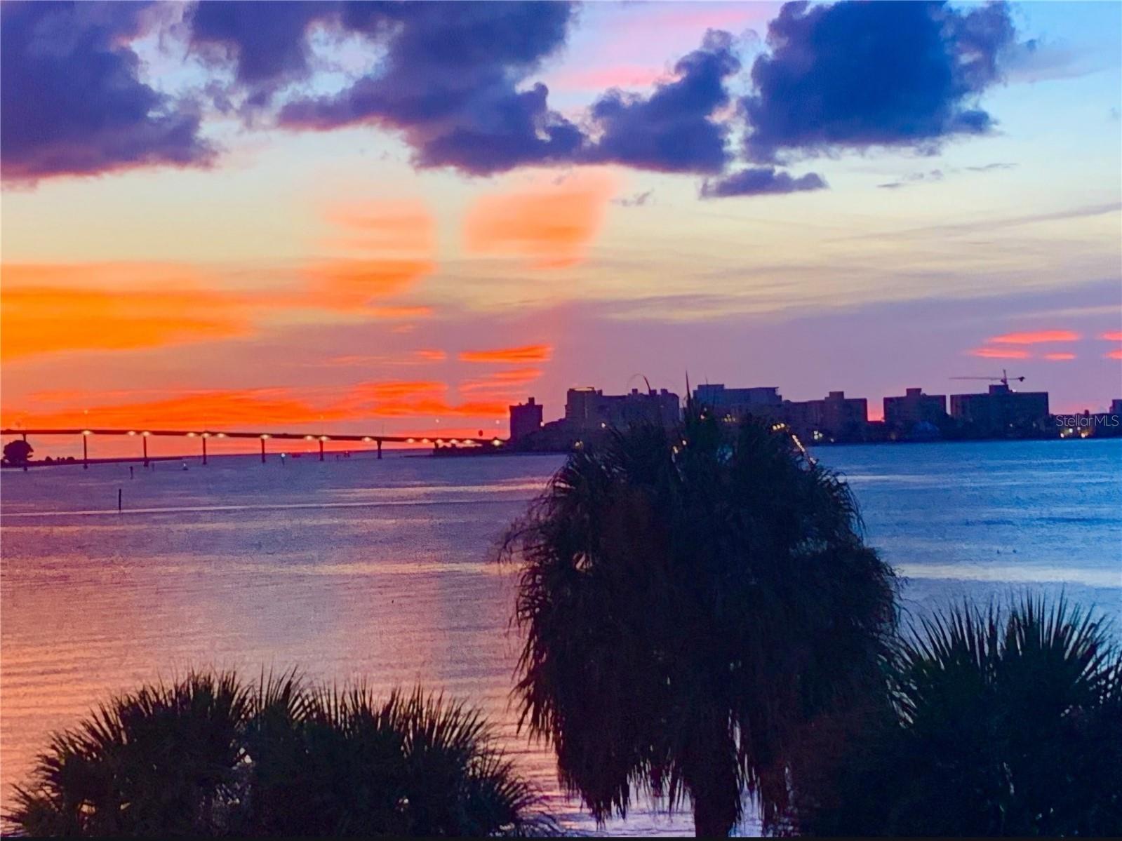 602 Lime Avenue #203 Clearwater FL 33756 TB8478498 image40