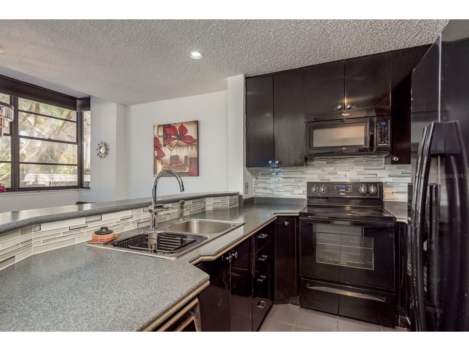 602 Lime Avenue #203 Clearwater FL 33756 TB8478498 image9