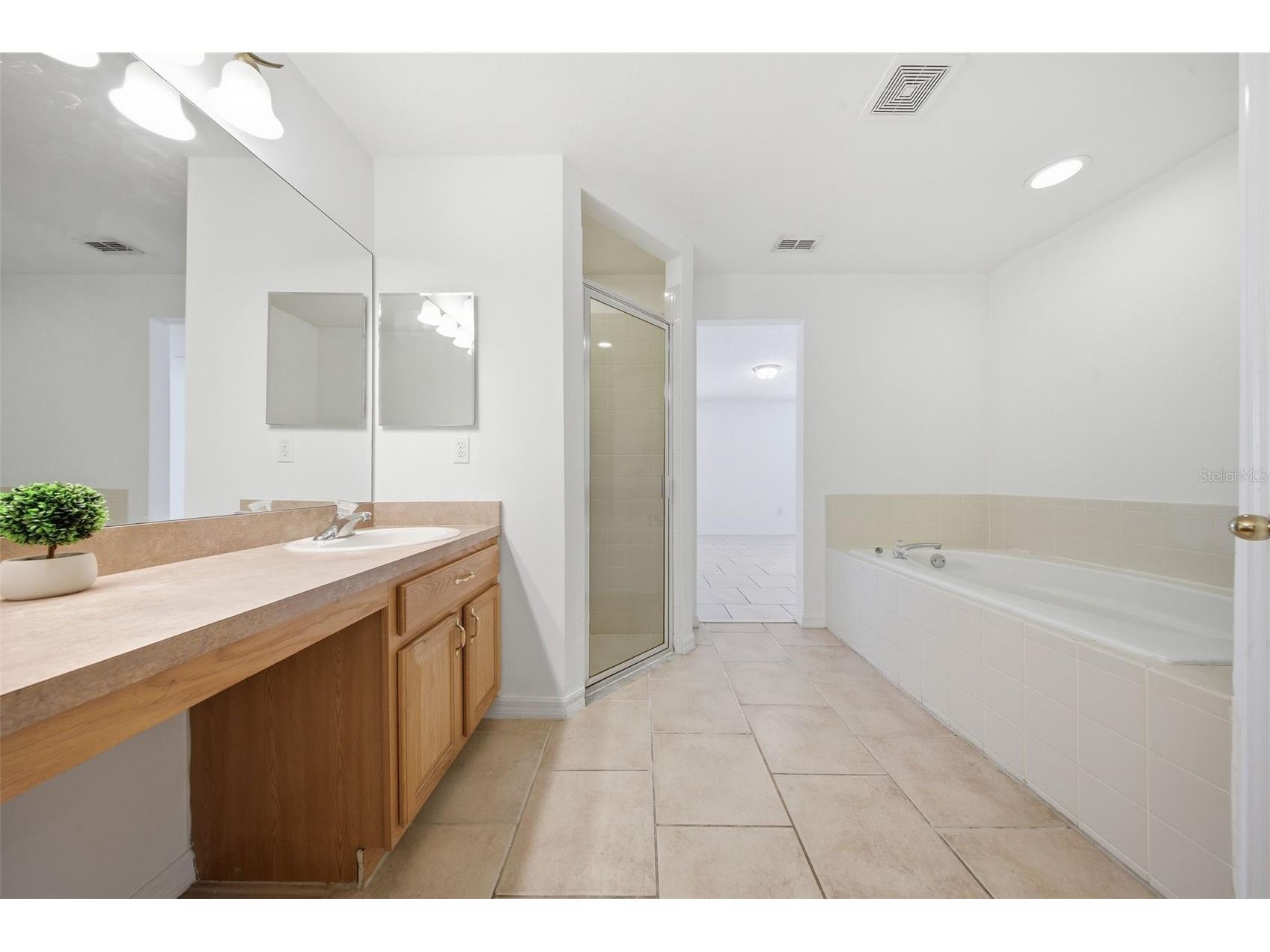 602 Messina Way Kissimmee FL 34758 O6387435 image20