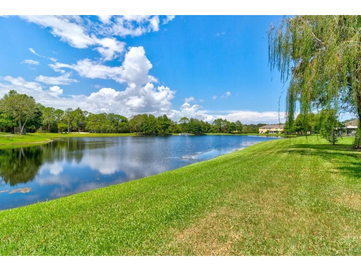 602 Mount Olympus Boulevard New Smyrna Beach FL 32168 O6368134 image14