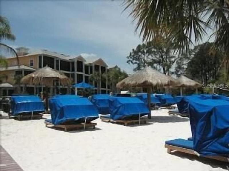 602 New Providence Promenade #17602 Davenport FL 33897 TB8463746 image12