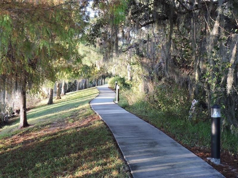 602 New Providence Promenade #17602 Davenport FL 33897 TB8463746 image18