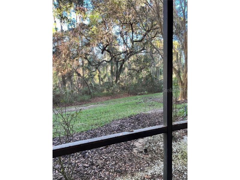 602 New Providence Promenade #17602 Davenport FL 33897 TB8463746 image40