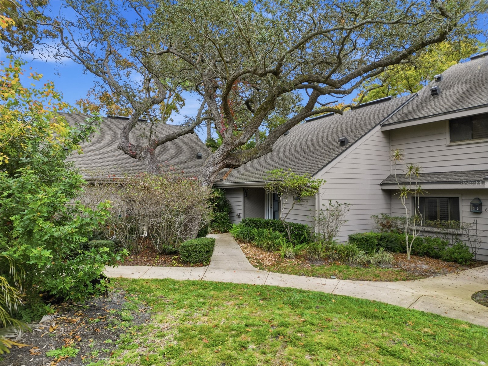 602 Old Mill Pond Road Palm Harbor FL 34683 TB8464192 image1