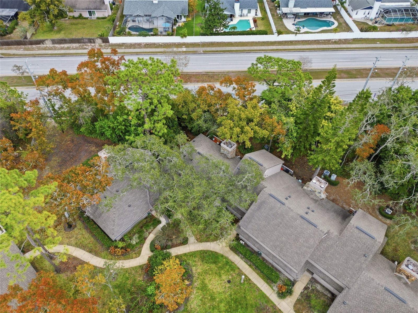 602 Old Mill Pond Road Palm Harbor FL 34683 TB8464192 image25