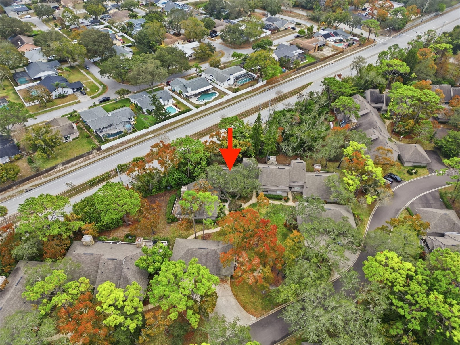 602 Old Mill Pond Road Palm Harbor FL 34683 TB8464192 image26